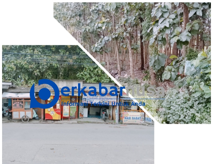 Tidak Mau Digusur Sepihak,Pedagang Pertanyakan Legalitas Adat Dan Ijin Dari PTPN.